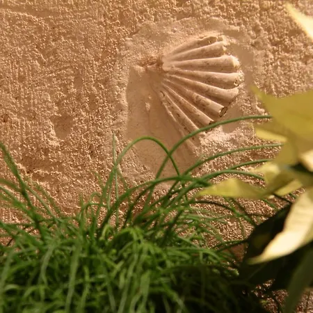 Lamia Guest house Matera